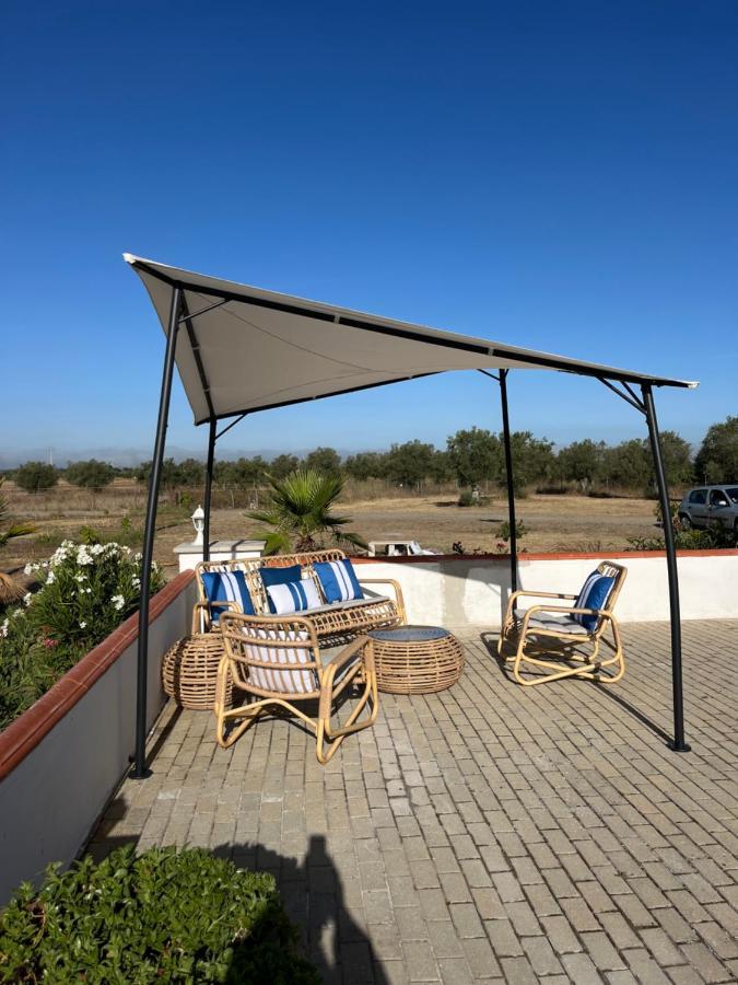 Quinta Da Amoreira Ferreira Do Alentejo Bagian luar foto