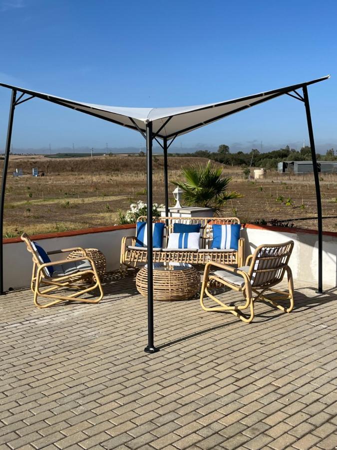 Quinta Da Amoreira Ferreira Do Alentejo Bagian luar foto